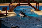 IMG 5828